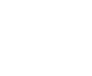 Evolution games at Winnings Online Casino